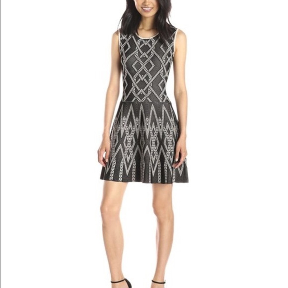 COPY - BCBG Max Azria Debbie dress